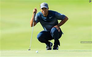 Tiger Woods reading the line of a putt